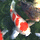 3D IMAGE