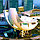 3D IMAGES