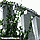 3D IMAGES