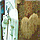 3D IMAGES