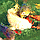 3D IMAGES