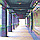 3D IMAGES