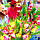 3D IMAGES