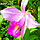 3D IMAGES
