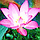 3D IMAGES