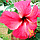 3D IMAGES