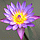 3D IMAGES