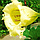3D IMAGES