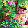 3D IMAGES