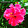 3D IMAGES