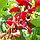 3D IMAGES