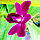 3D IMAGES