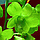 3D IMAGES