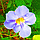 3D IMAGES