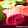 3D IMAGES