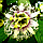 3D IMAGES