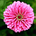 3D IMAGES